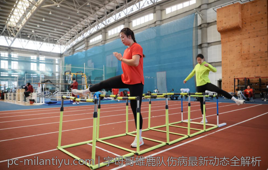 字母哥雄鹿队伤病最新动态全解析