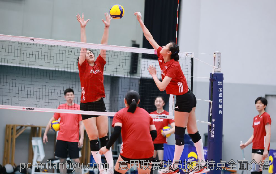 意甲联赛球员技术特点全面介绍