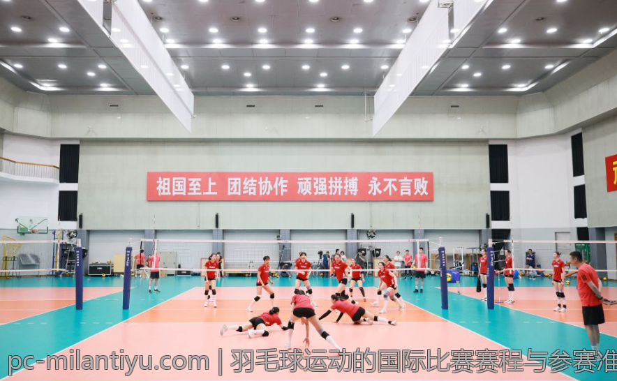 羽毛球运动的国际比赛赛程与参赛准备指南
