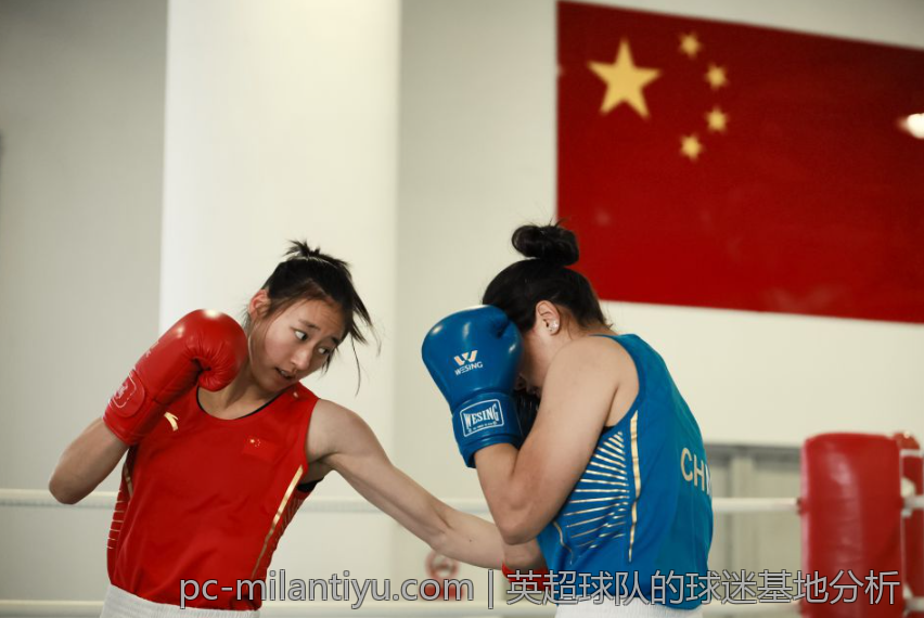 英超球队的球迷基地分析